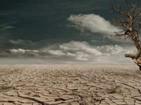 climate change