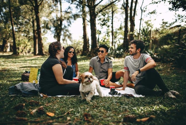 friendship outdoor