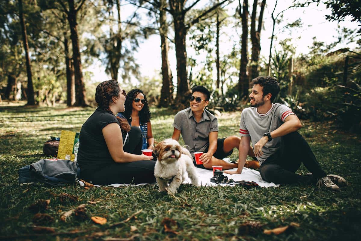 friendship outdoor
