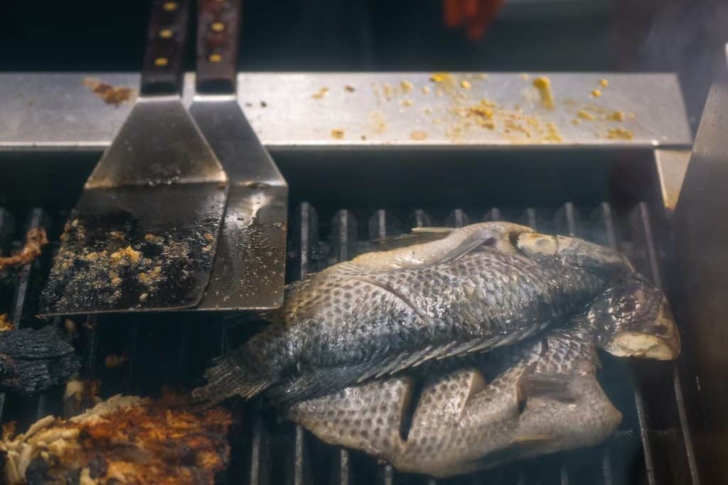 grilled tilapia