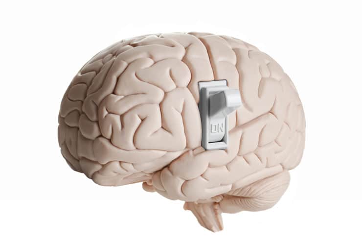 turn on brain
