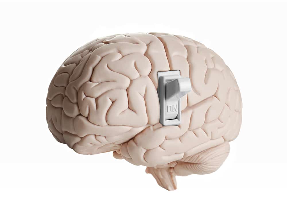 turn on brain