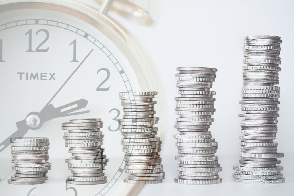 which-best-describes-an-investors-primary-goal
